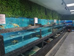 -宝燕海鲜(好爱店)