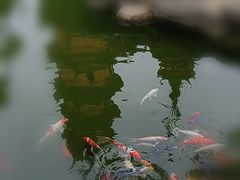 -吴作人艺术馆