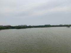 -大兴滨河森林公园