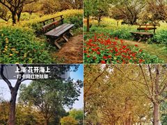 -花开海上生态园