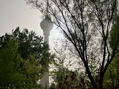 -中央广播电视塔