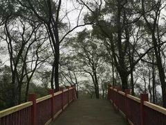 -大金鹰园