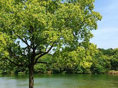 -福建鲤鱼洲酒店