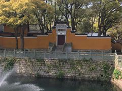 -普陀山风景名胜区-法雨禅寺