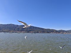-海埂大坝