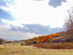 -御道口草原森林风景区