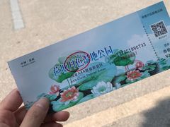 -荷塘月色湿地公园·向阳花洲