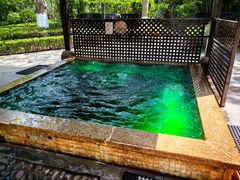 -春晖园度假酒店温泉