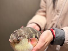 -永安鱼庄·镇江菜(东吴路店)