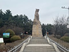 -帽儿山国家森林公园