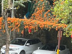 -鲤鱼塘农家山庄