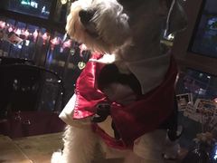 -M-3 PUB(创智天地店)