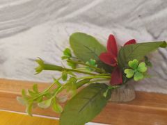 -花鸟鱼私家小厨·川菜(文殊院店)