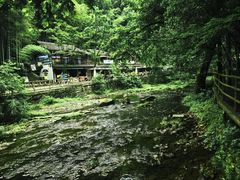 -五泄景区