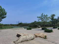 -大港湿地公园