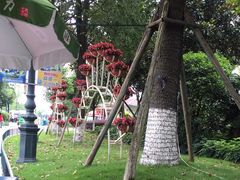 -国色天乡三期陆地乐园