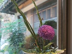 -鲤院·新中式美学·庭院餐厅(夫子庙店)
