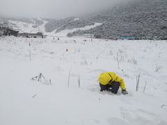 -太子岭滑雪场