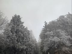 -大围山国家森林公园
