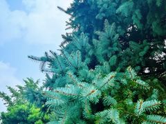 -国家植物园南园