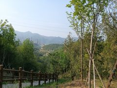 -白水寺森林公园