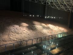 -世界恐龙谷景区