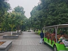 -张坝桂圆林公园