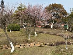 -白马涧龙池景区