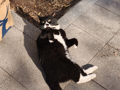 -私房小厨(康城路店)