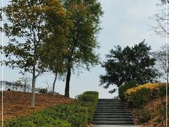 -中国移动南方基地