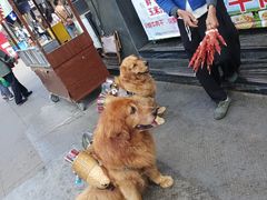 -南诏风情岛