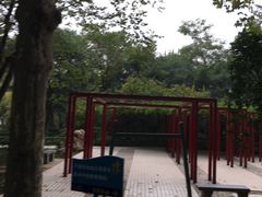 -西安市长乐公园