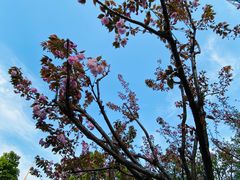 -X88商场(铜仁路店)