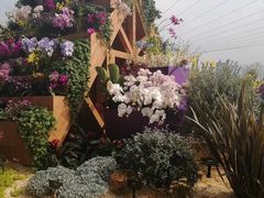 -重庆市江北嘴中央商务区中央公园