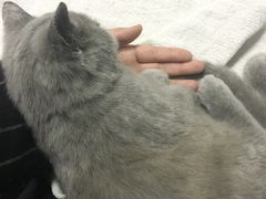 -惠康宠物医院(华能路店)