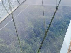 -天台山琼台仙谷景区