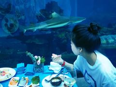-海棠湾洲际-涛·海底餐厅·美人鱼·自助餐·海底隧道