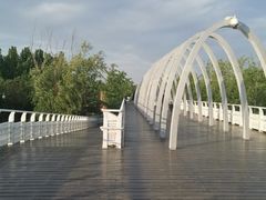 -大兴滨河森林公园