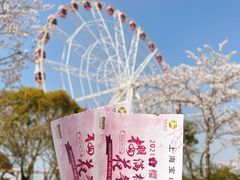 -顾村公园