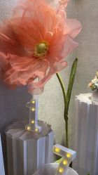 -深圳鹏爱秀琪医疗美容医院