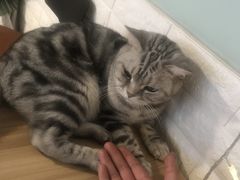 -平行世界·猫咖(首经贸店)