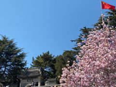 -湛山寺