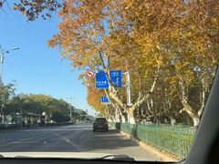 -老赵面店(大西路店)