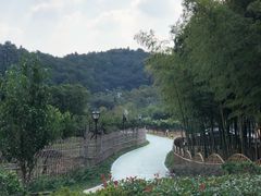 -龙寺生态园