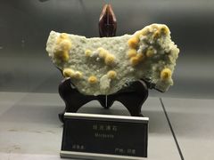 -中国地质大学逸夫博物馆