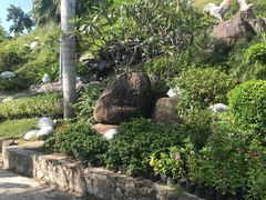 -100蛋泥浆浴
