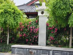 -堤角公园