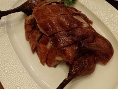 -圆苑(金茂店)