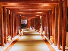 -重庆南山海昌汤都