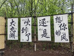 -大九湖